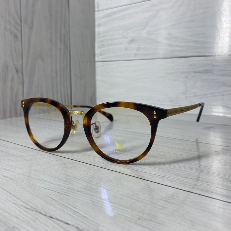 Изображение EYEWEAR V2025 c02
