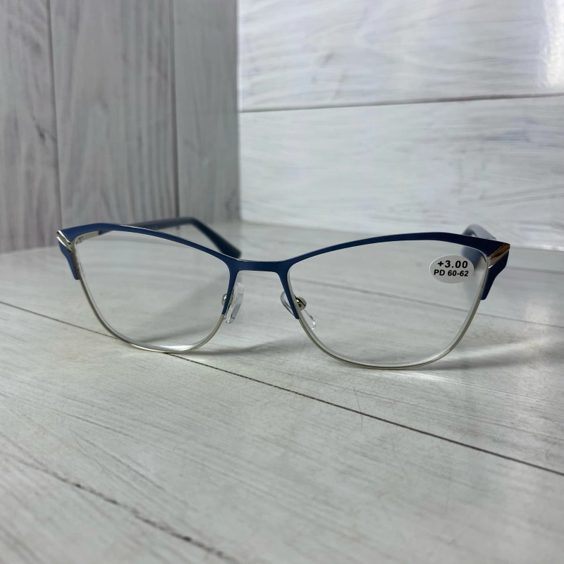 Изображение Traveler Tr8009 c1 -3.75d
